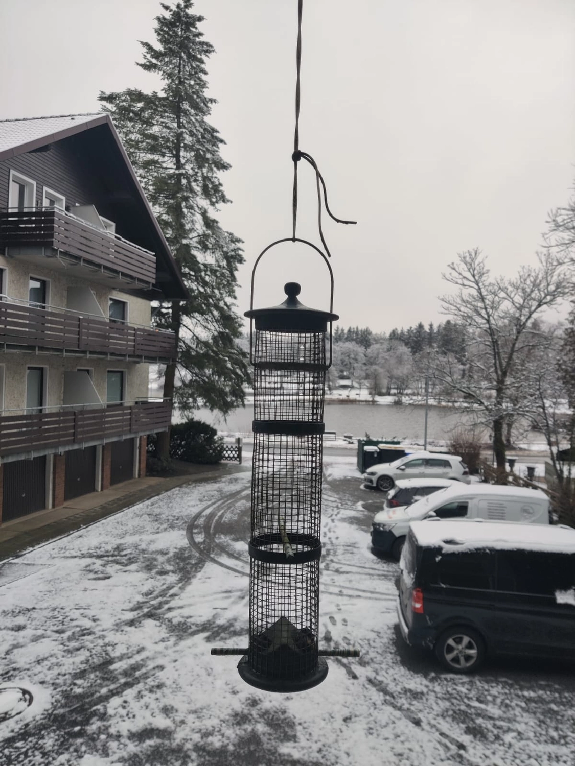 Reiselust Hahnenklee – Ferienhaus – Eine verschneite Landschaft, wahrscheinlich eine Grünanlage in einem Dorf