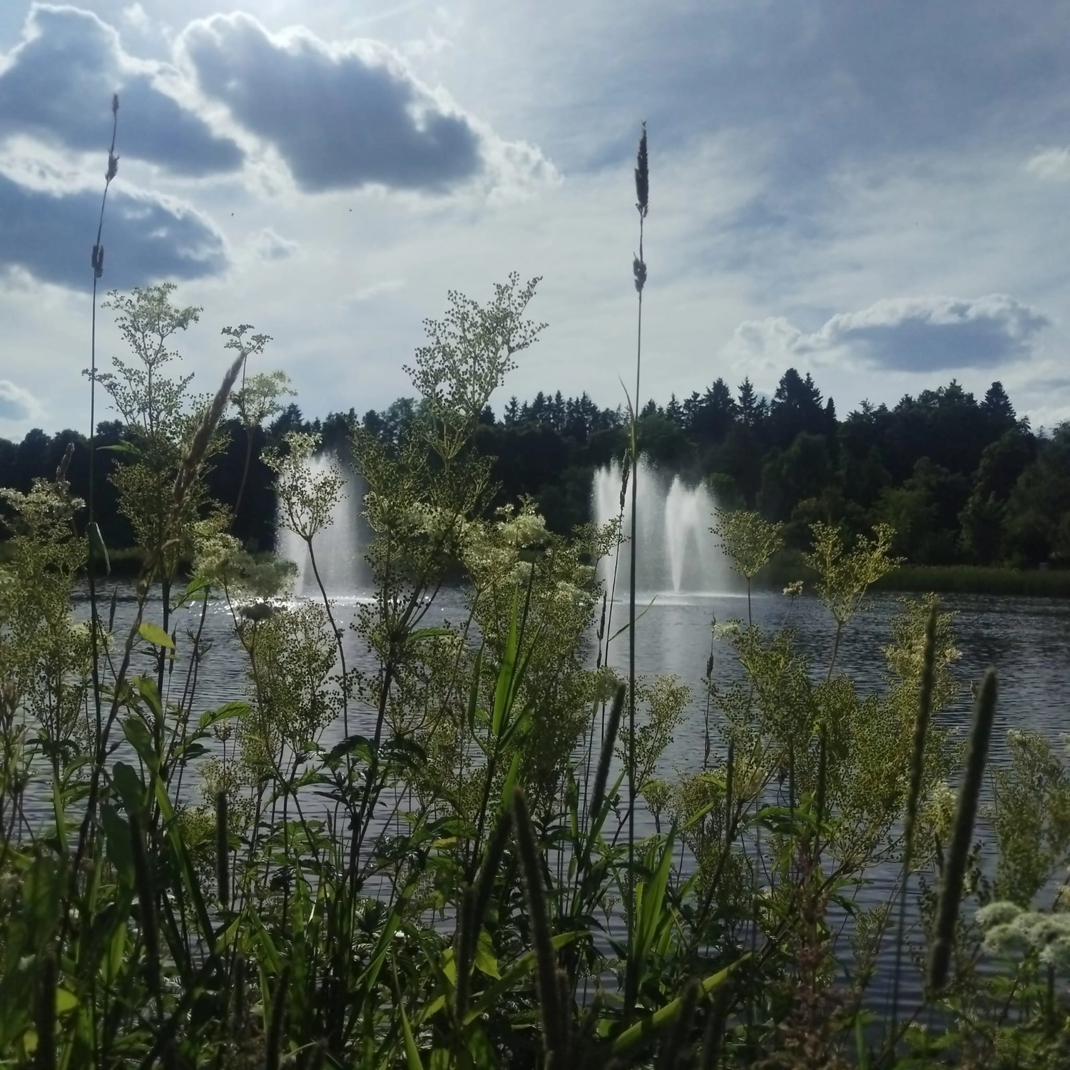 Reiselust Hahnenklee – Ferienhaus – Ein malerischer Moment am Druskonis-See in Druskininkai, Litauen, mit Wasserfontänen im See.
