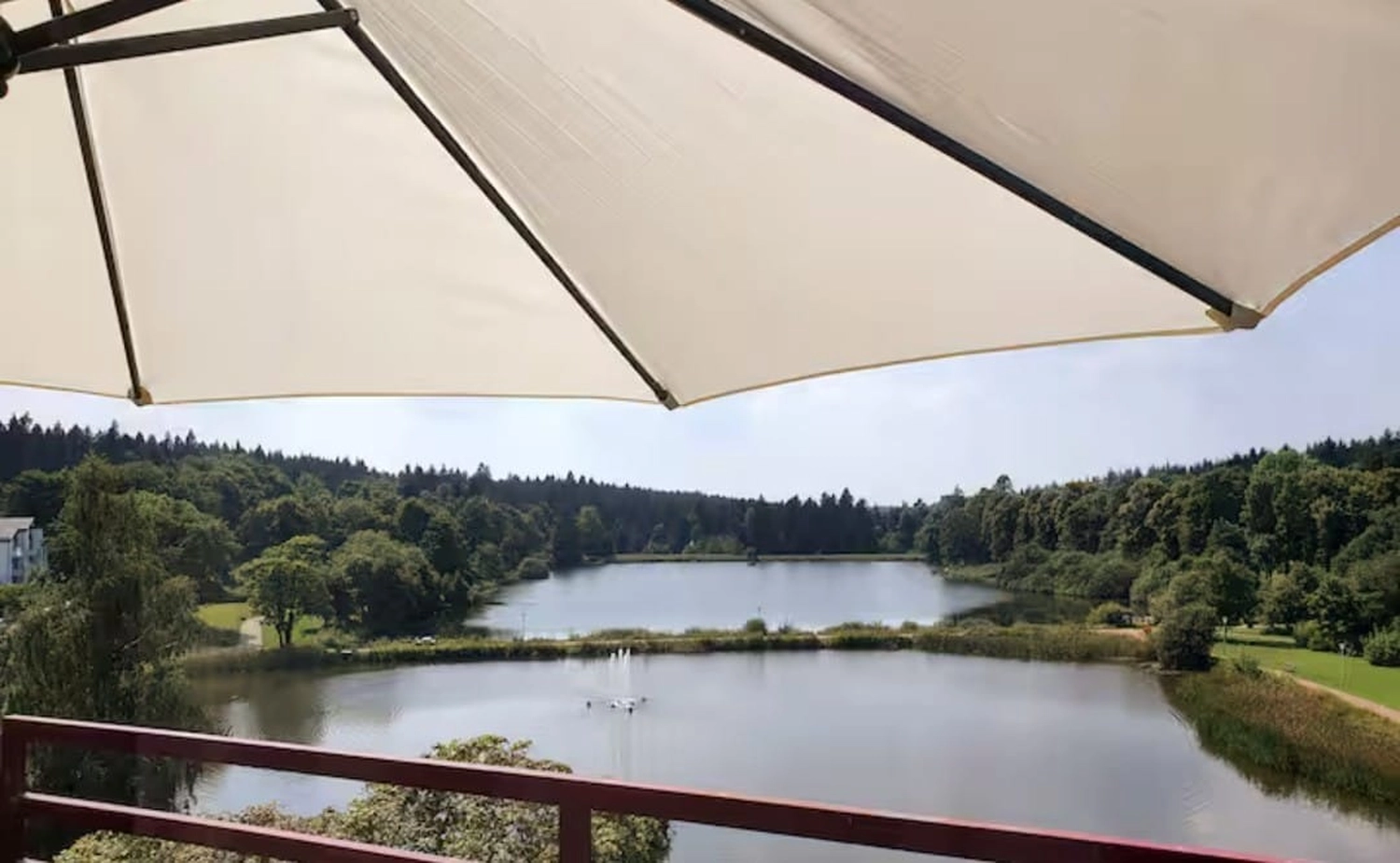 Reiselust Hahnenklee – Ferienhaus – Ein malerischer Blick auf einen See und einen Weg in Hahnenklee-Bockswiese, Deutschland.