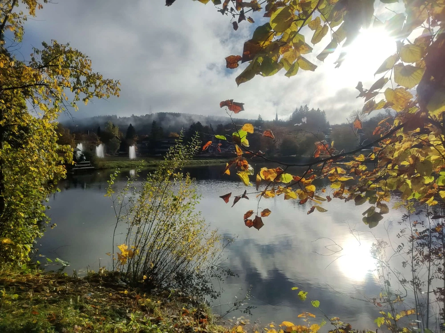 Reiselust Hahnenklee - Ferienhaus - Außenbereich