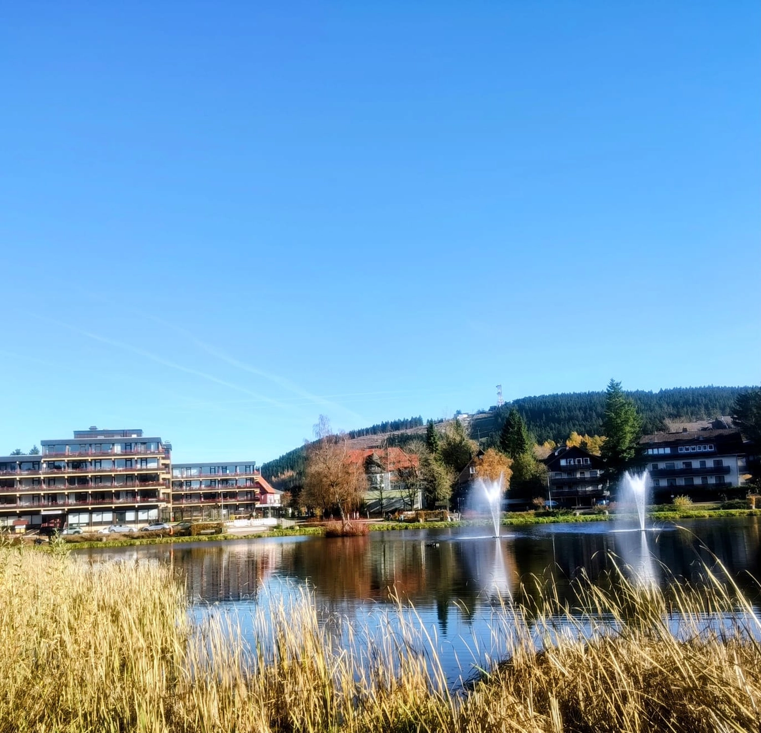 Reiselust Hahnenklee - Ferienhaus - Außenbereich