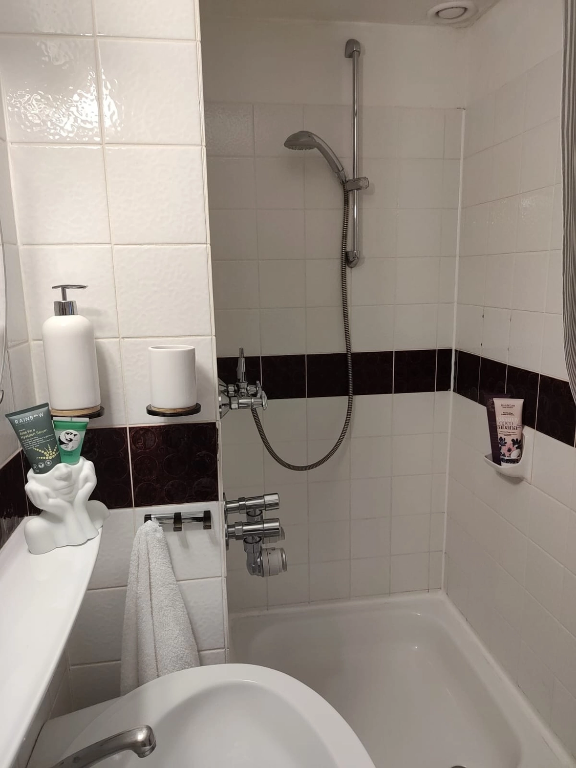 Reiselust Hahnenklee - Ferienhaus - Badezimmer