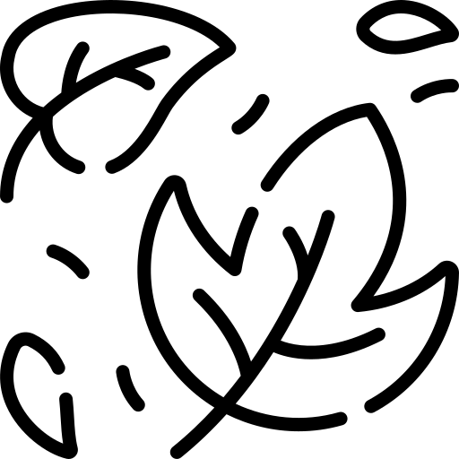 Reiselust Hahnenklee - Ferienhaus - Symbol