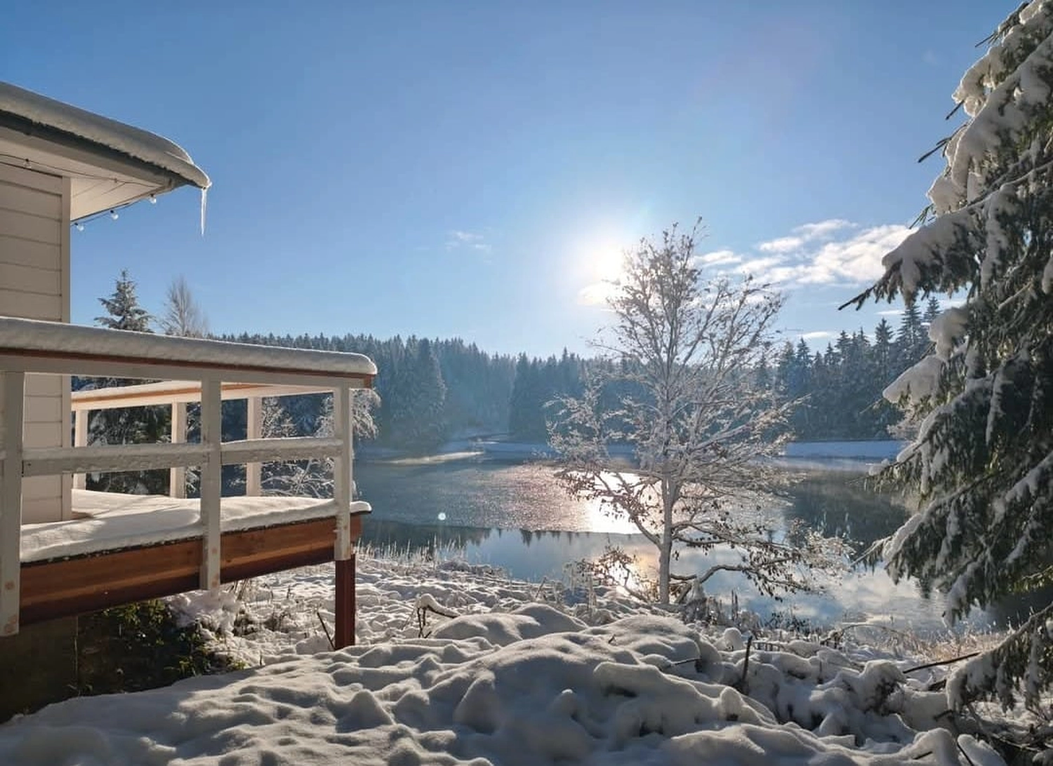 Reiselust Hahnenklee – Ferienhaus – Eine verschneite Landschaft, wahrscheinlich eine Grünanlage in einem Dorf